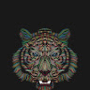 Meet your Posher, Toggiebaby